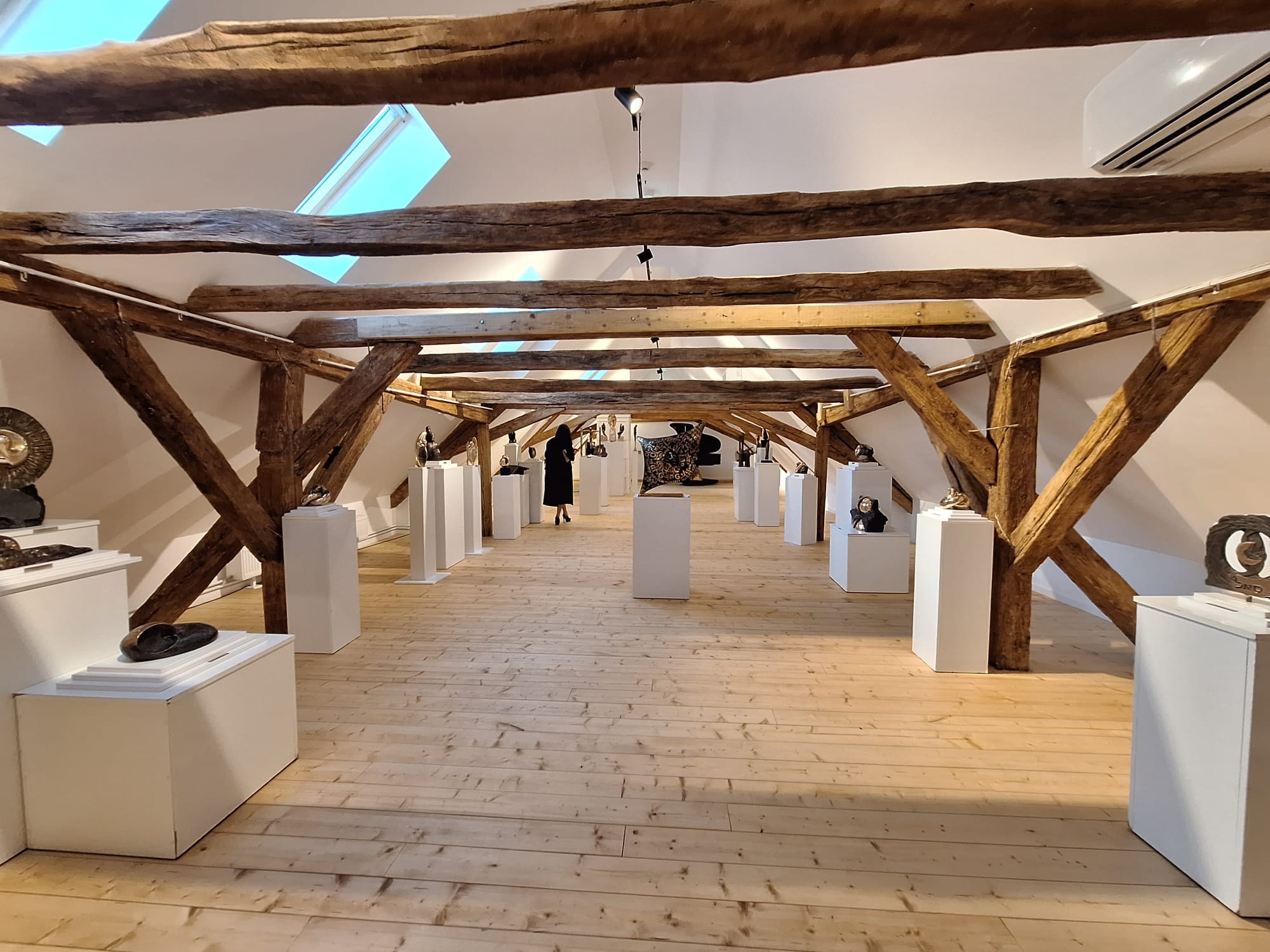 WhatsApp Image 2023-10-26 at 12.40.04 (2)