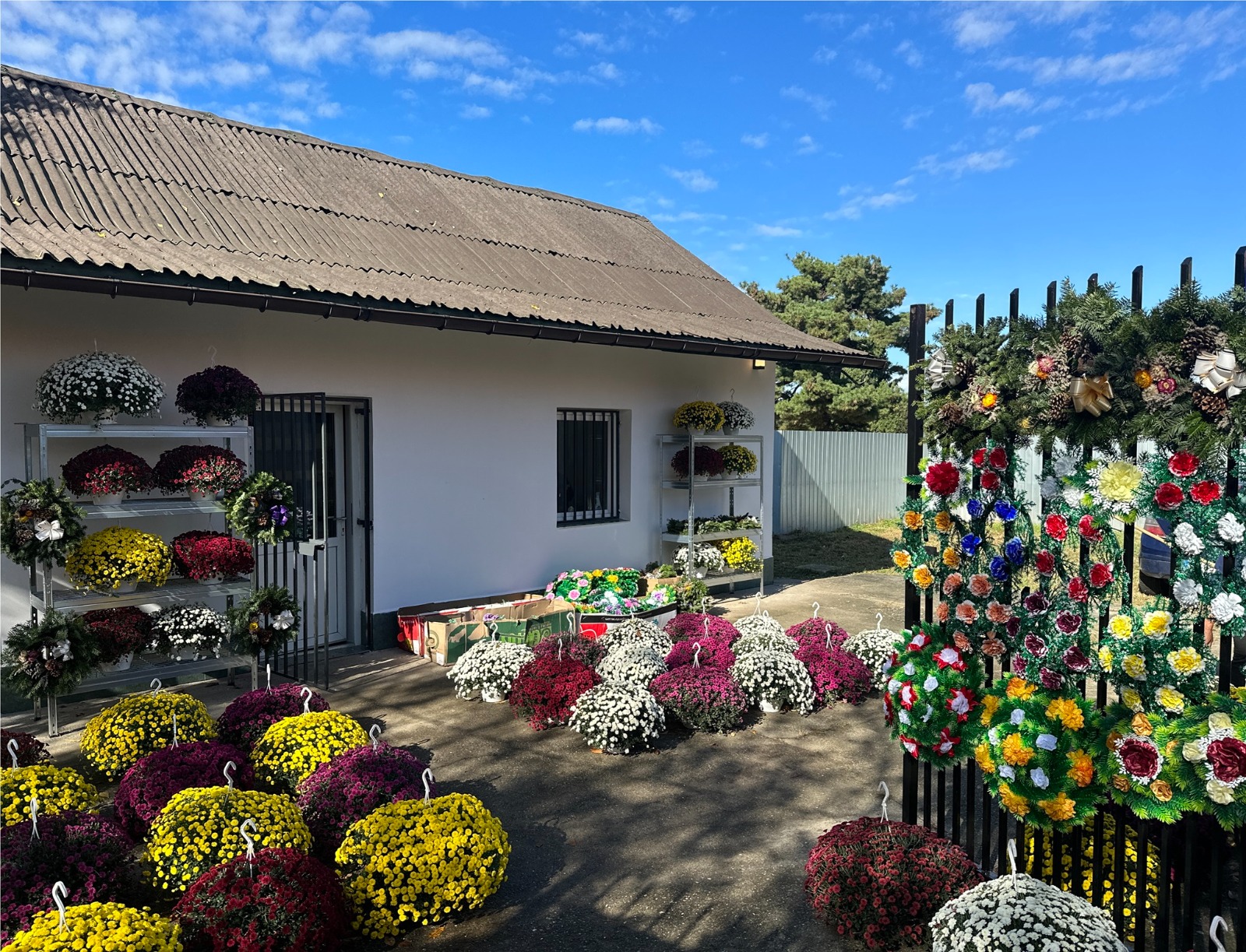 curatenie cimitire horticultura (3)