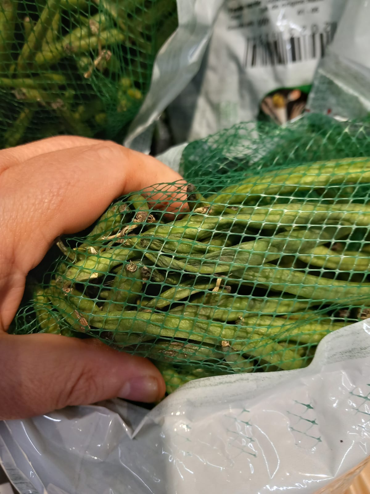 WhatsApp Image 2023-10-31 at 19.24.42 (2)