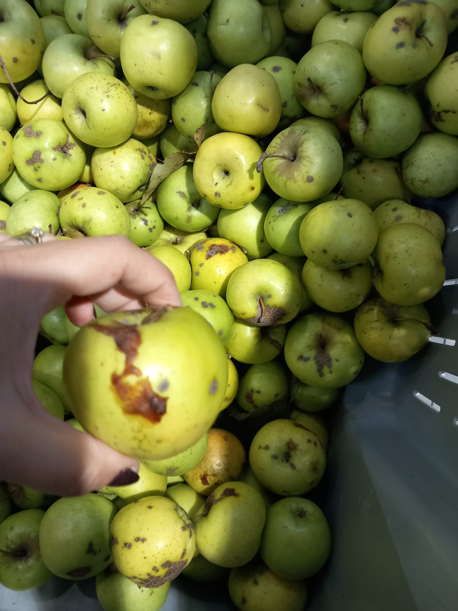 WhatsApp Image 2023-10-31 at 19.24.30