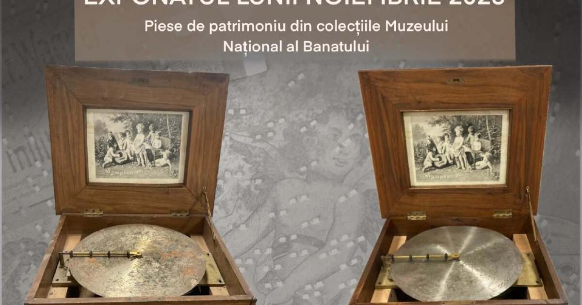 Exponatul de top al lunii noiembrie la Muzeul Național al Banatului a fost recondiționat de experți în domeniu Exponatul de top al lunii noiembrie la Muzeul Național al Banatului a fost recondiționat de experți în domeniu