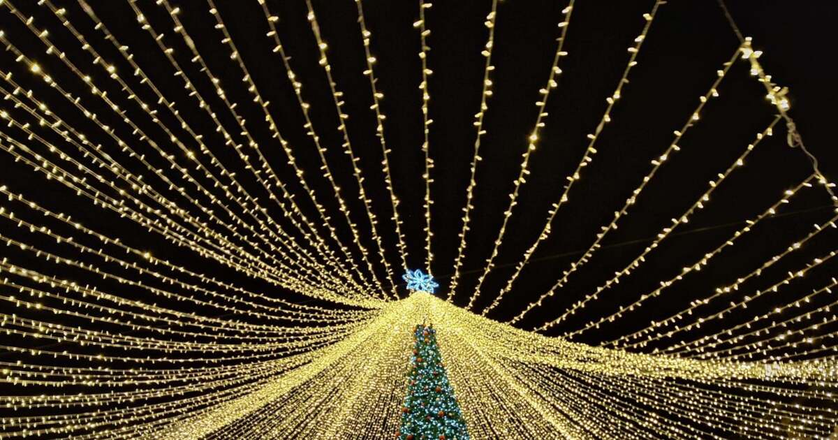 Evenimente din Timișoara pe 6 decembrie 2023: Ce aveți de făcut? Evenimente din Timișoara pe 6 decembrie 2023: Ce aveți de făcut?