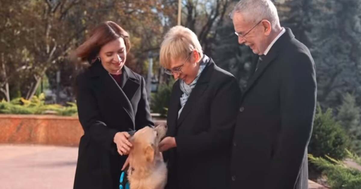 VIDEO: Președintele Austriei atacat de câinele Maiei Sandu, Codruț, mușcându-l de mână VIDEO: Președintele Austriei atacat de câinele Maiei Sandu, Codruț, mușcându-l de mână