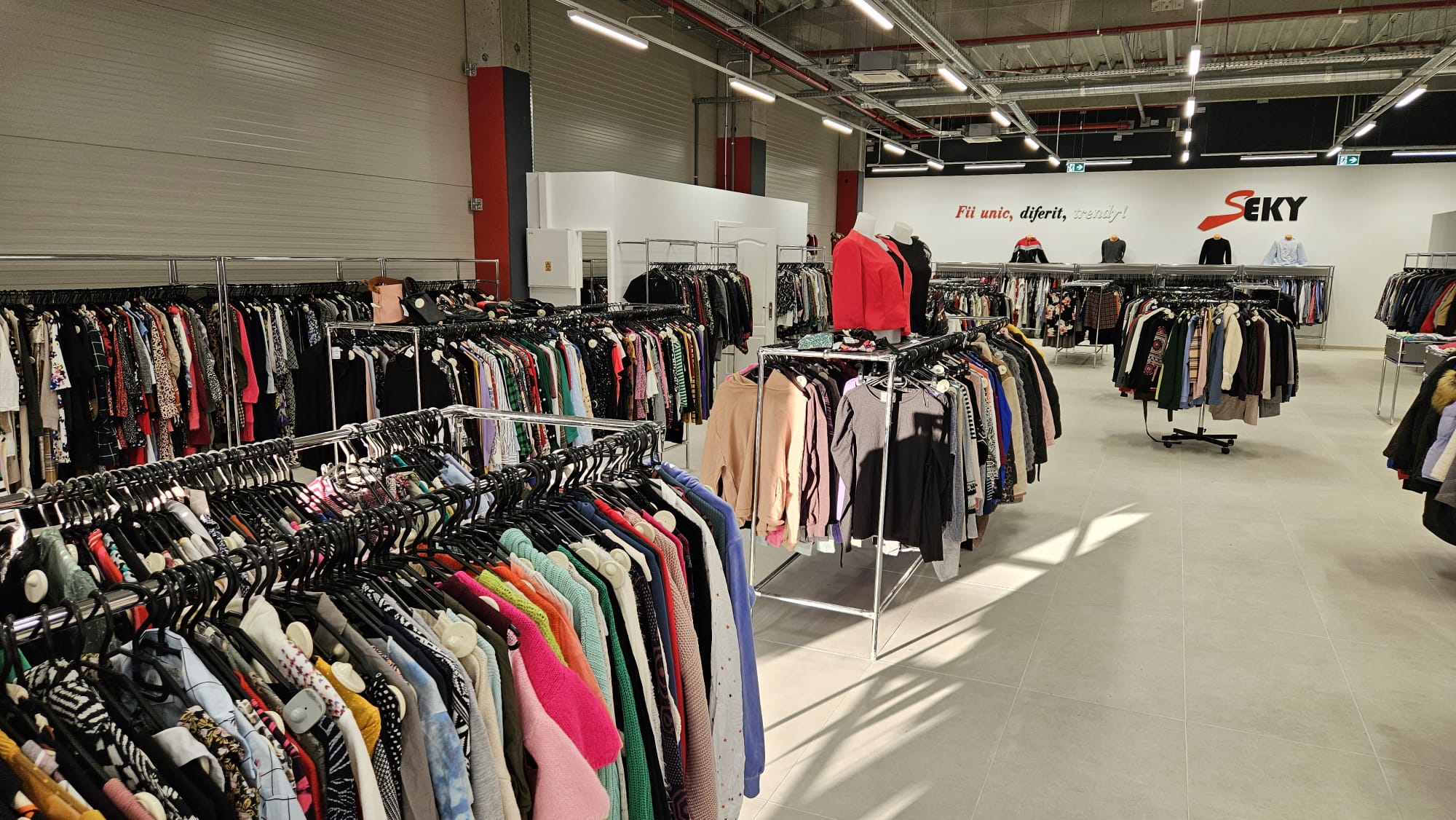 WhatsApp Image 2023-11-16 at 13.11.41