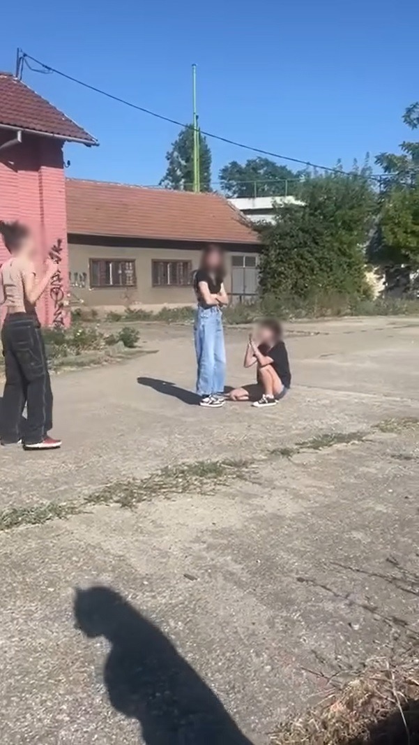 Imagine WhatsApp 2023-11-17 la 11.27.48_5a943d3e