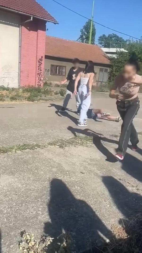 Imagine WhatsApp 2023-11-17 la 11.27.46_edb6a8f4