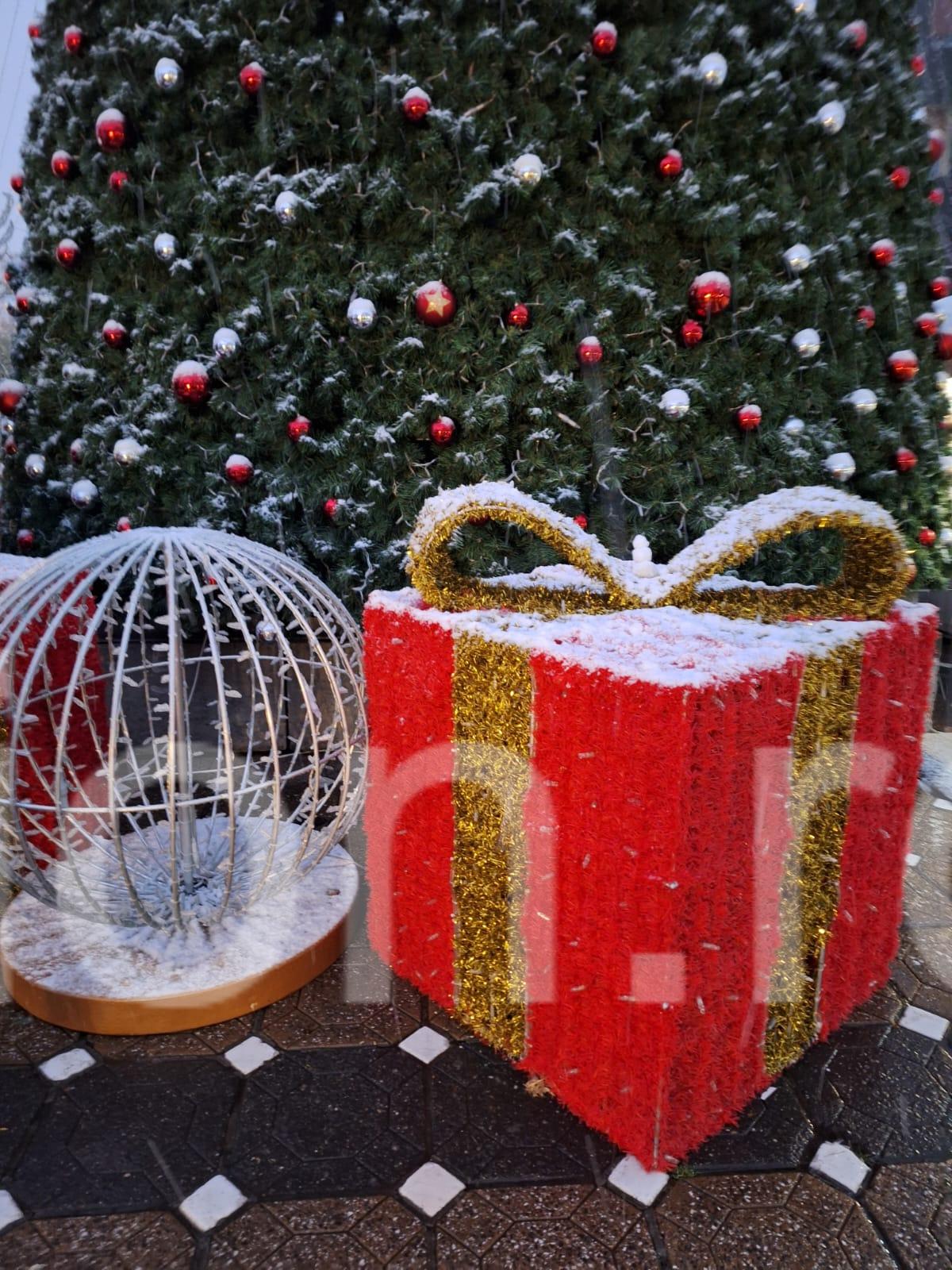 targ de craciun timisoara 2023 (10)