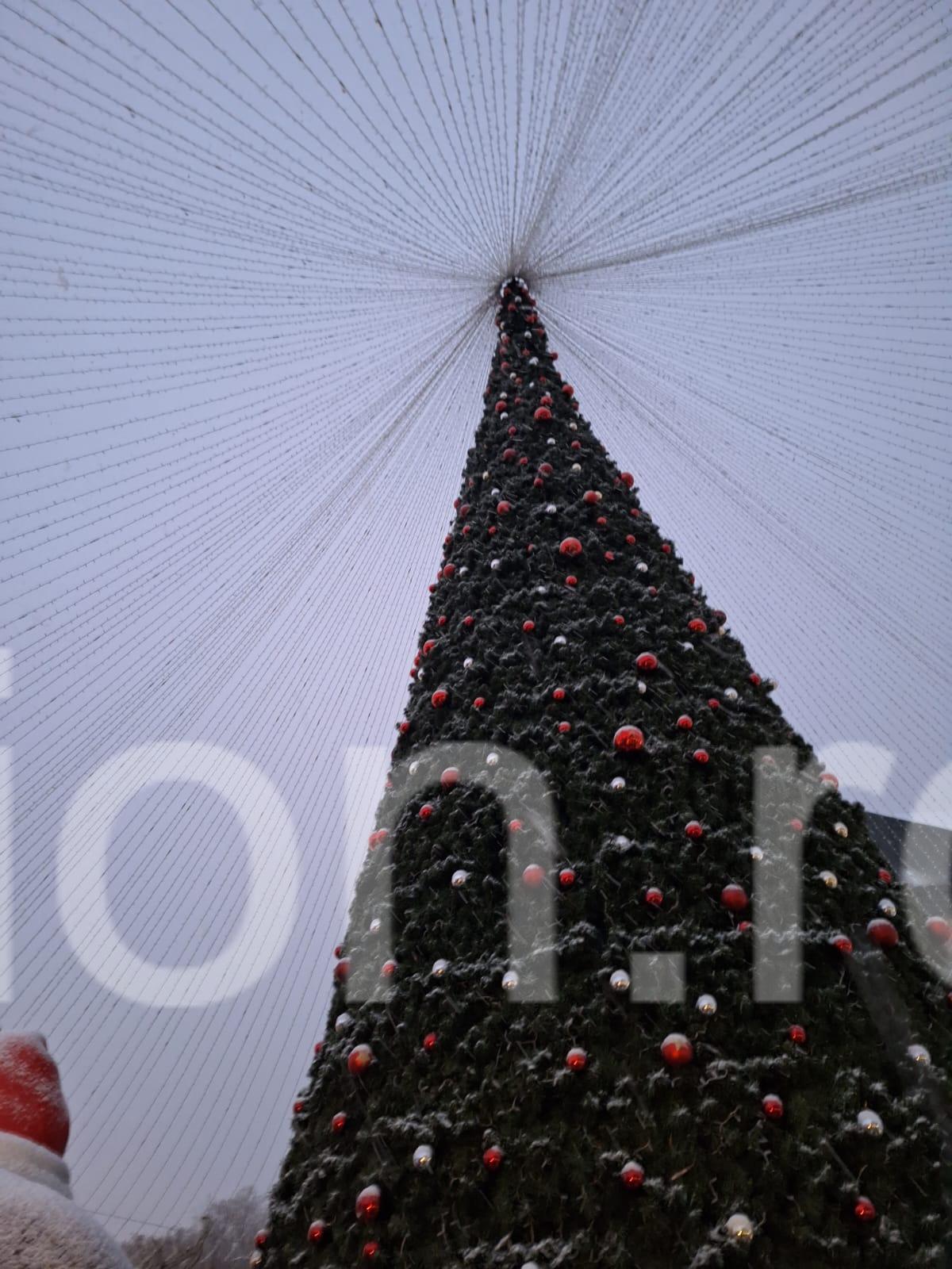 targ de craciun timisoara 2023 (13)