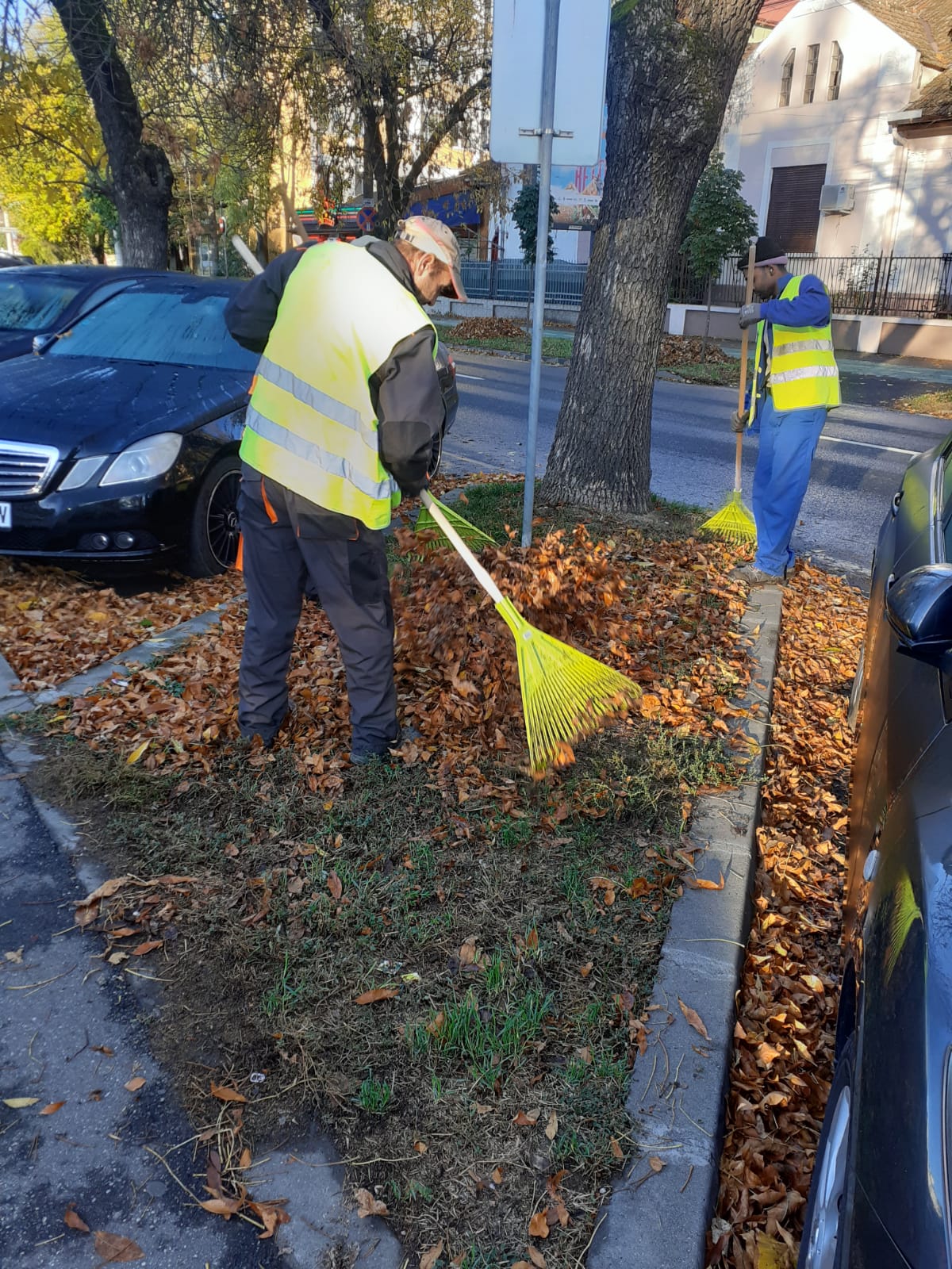 spatii verzi Piata Balcescu (1)