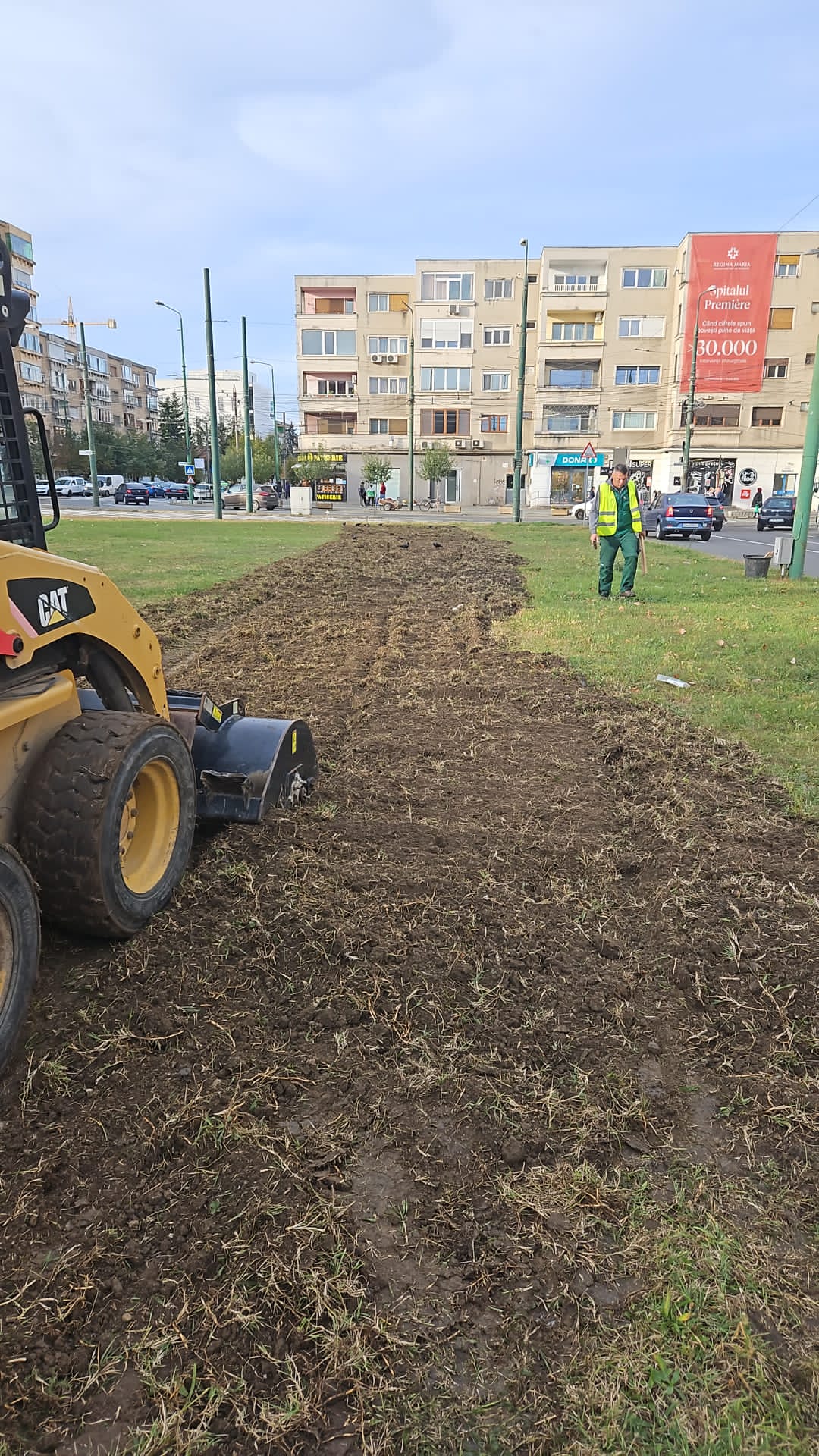 spatii verzi Piata Balcescu (4)