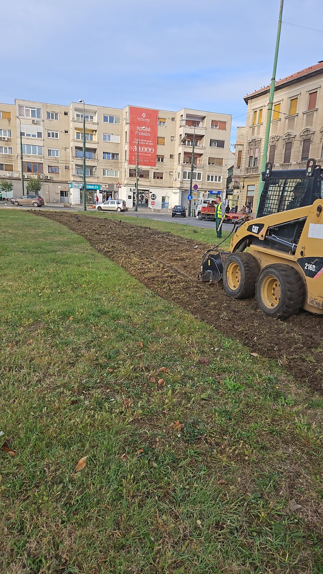 spatii verzi Piata Balcescu (5)