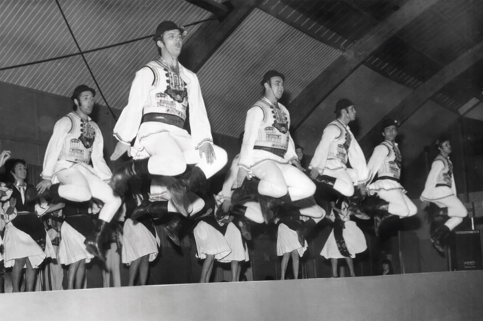 ansamblul Timisul (1)