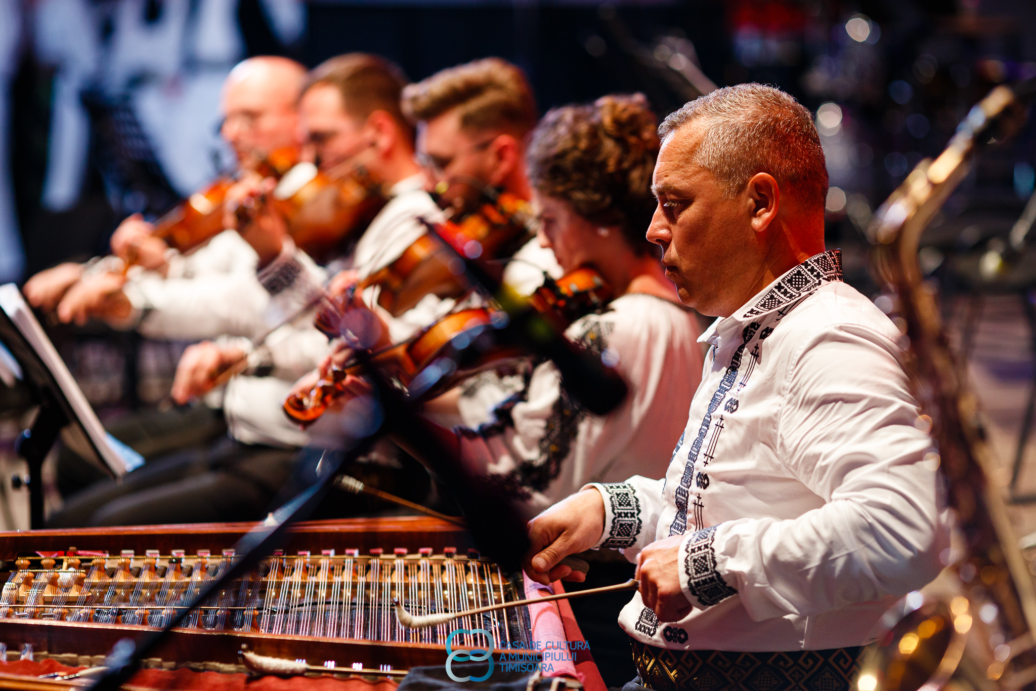 ansamblul Timisul (6)