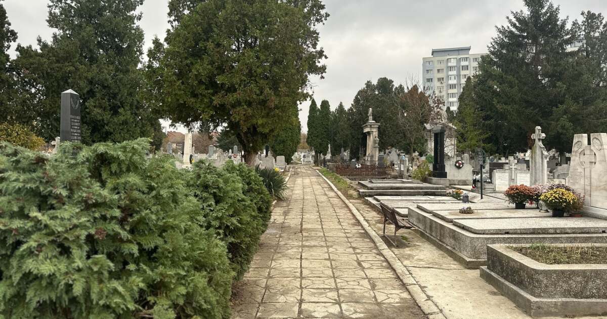 Servicii de întreținere a locurilor de veci în Timișoara, prețuri și abonamente. Servicii de întreținere a locurilor de veci în Timișoara, prețuri și abonamente.