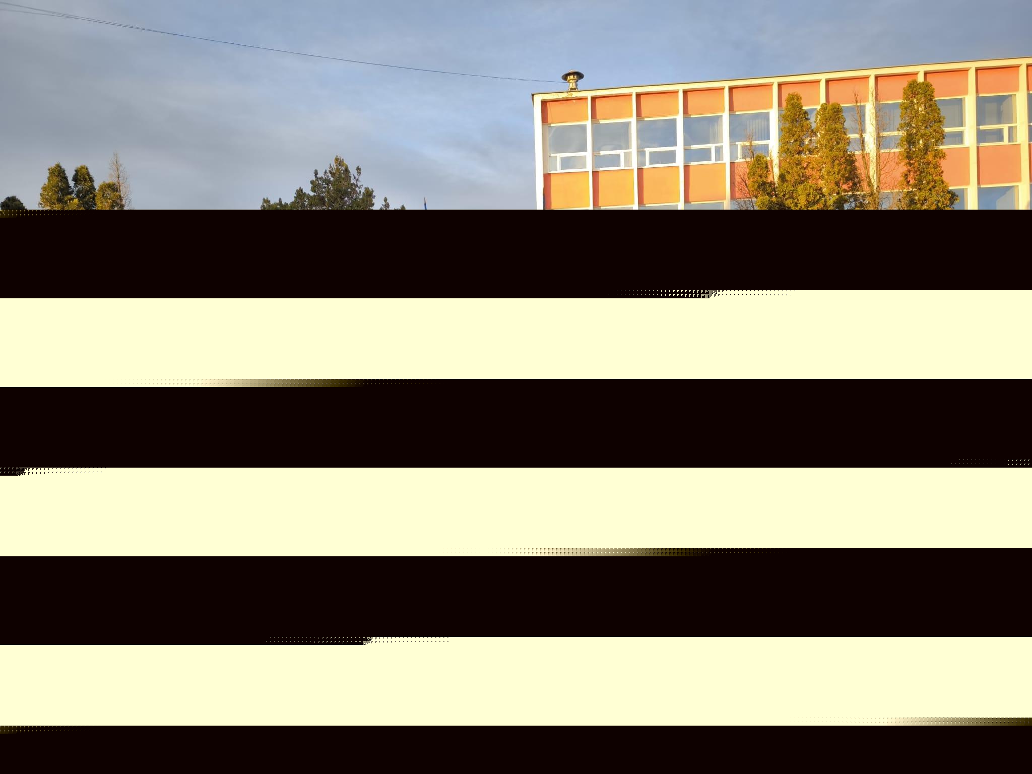 WhatsApp Image 2023-12-15 at 10.49.08