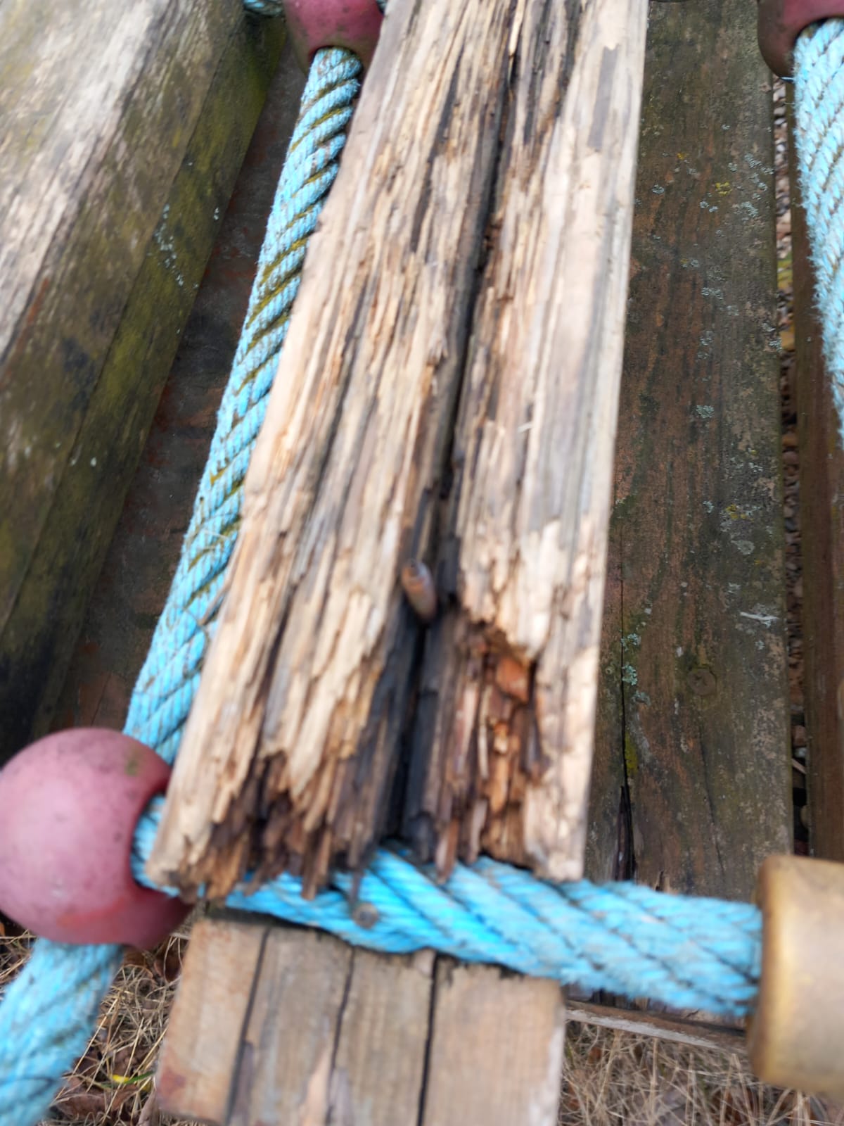 controale opc caras severin (1)