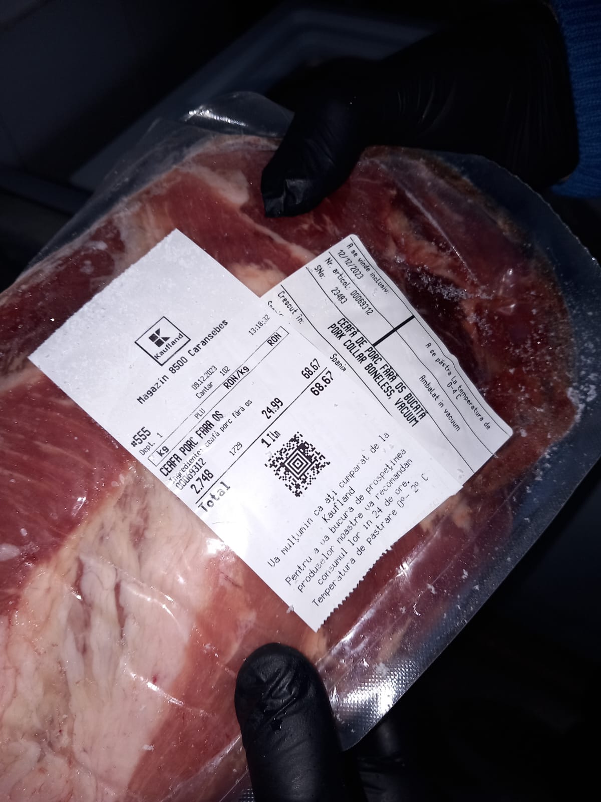 controale opc caras severin (3)