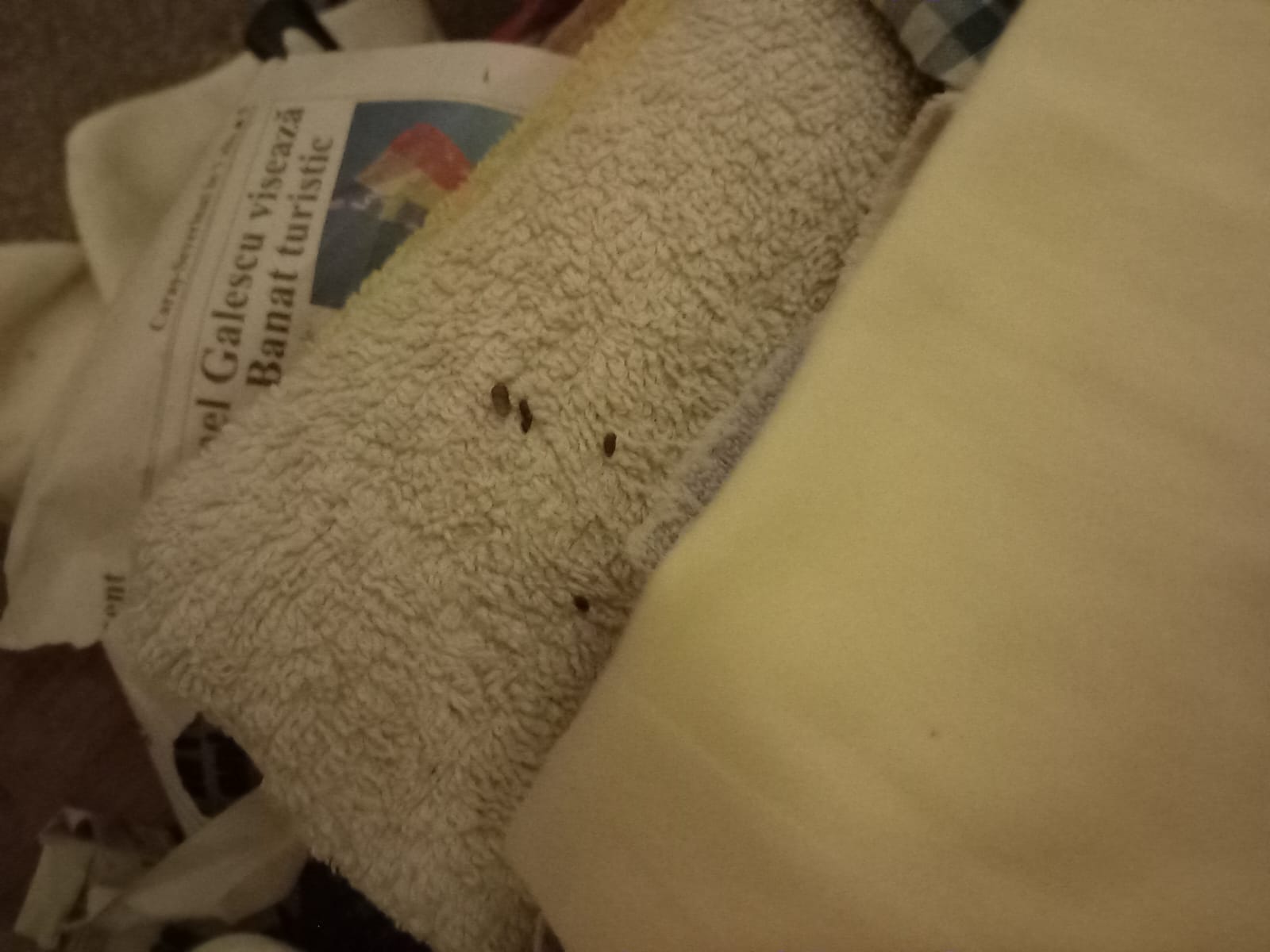 controale opc caras severin (6)