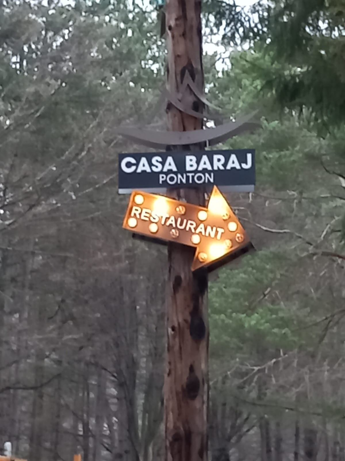 controale caras severin (4)