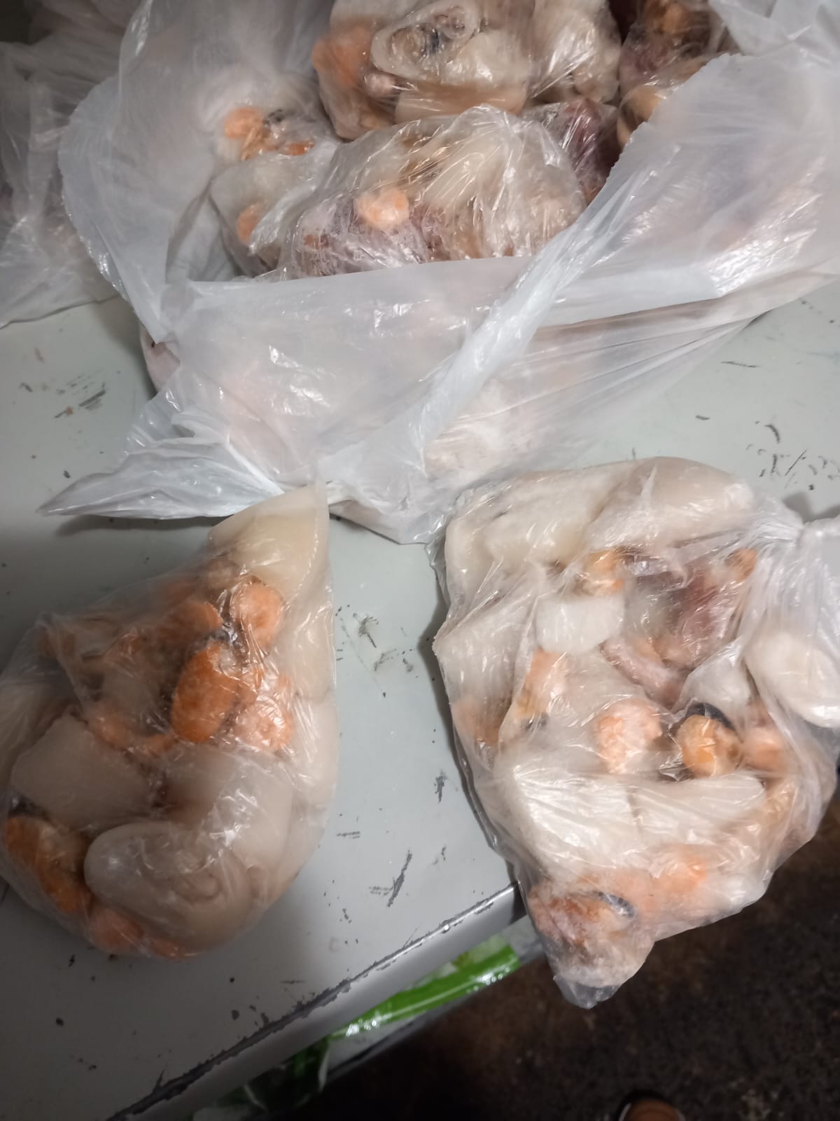 controale opc caras (32)