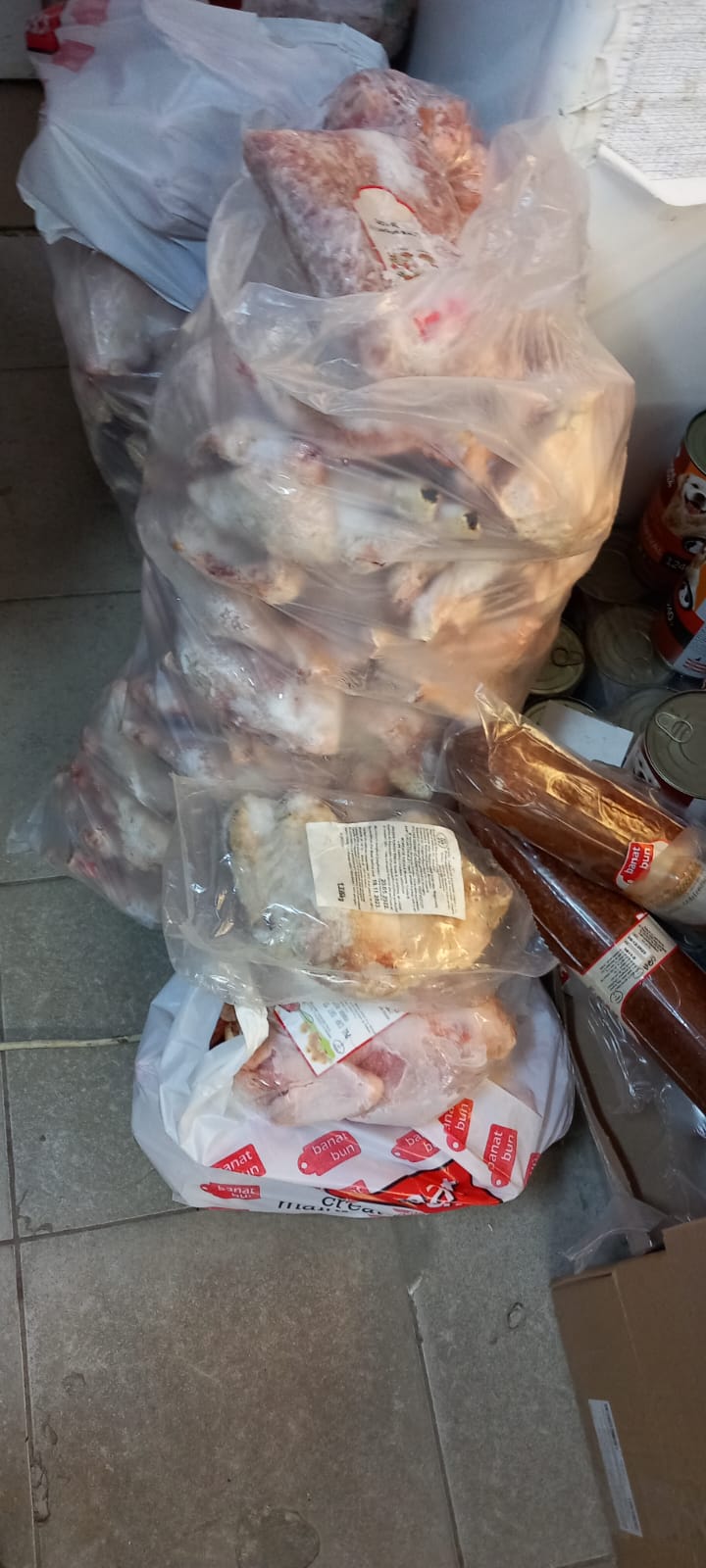 controale opc caras severin (3)