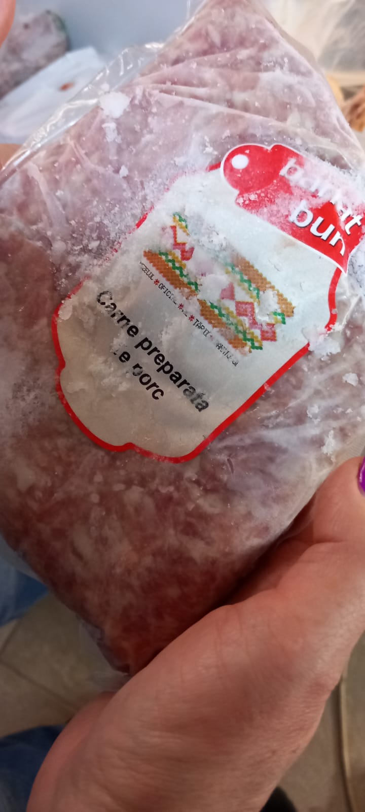 controale opc caras severin (6)