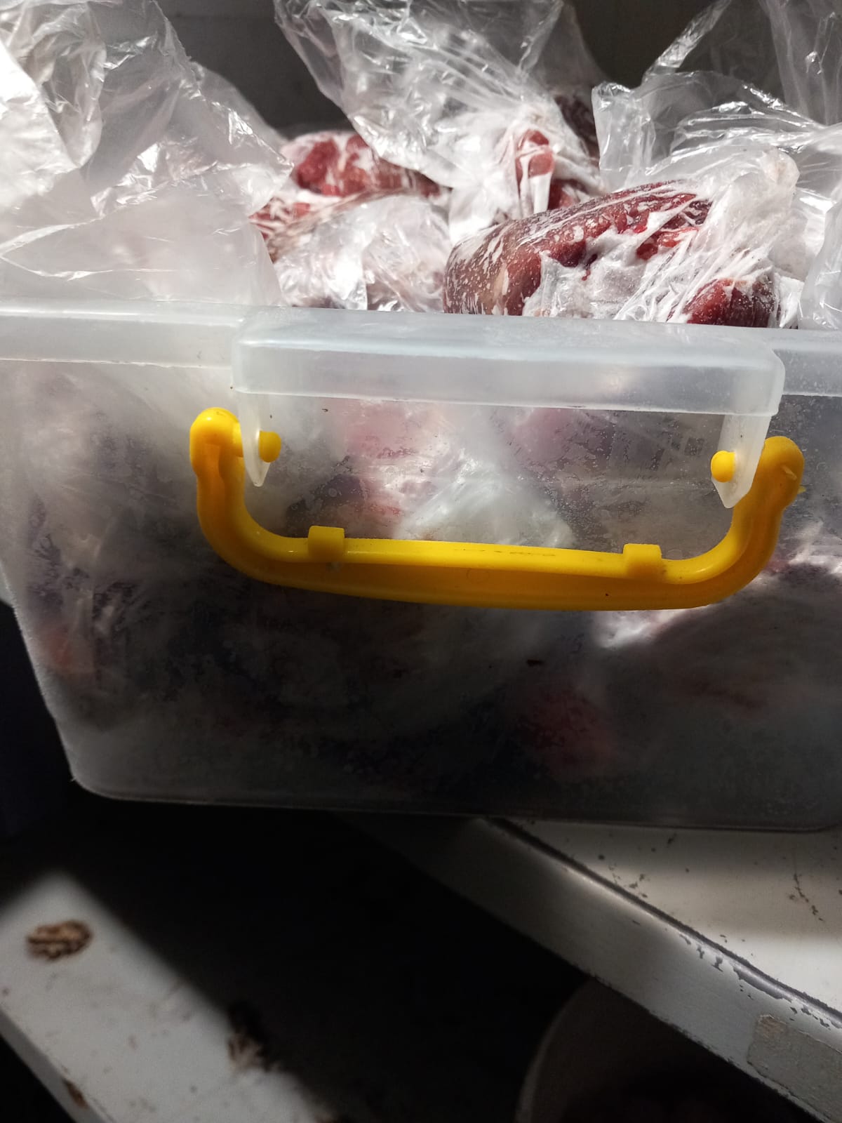 controale opc caras (5)