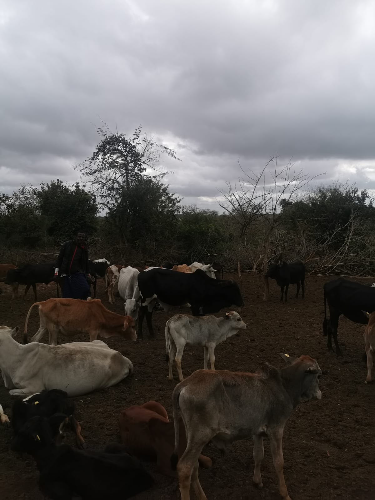 Emanuel Ngaga Leyani masai (26)