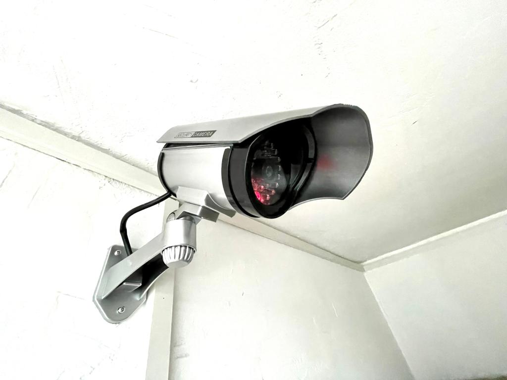 all cuisine timisoara (17)