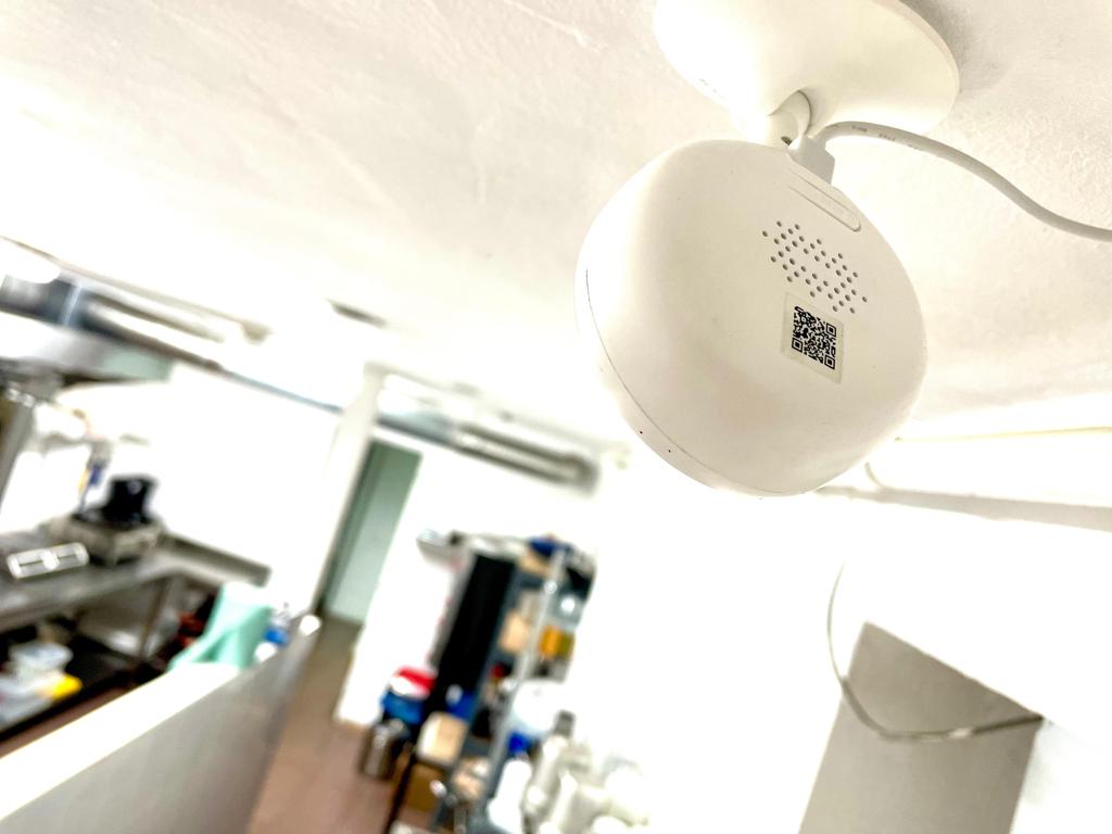 all cuisine timisoara (18)