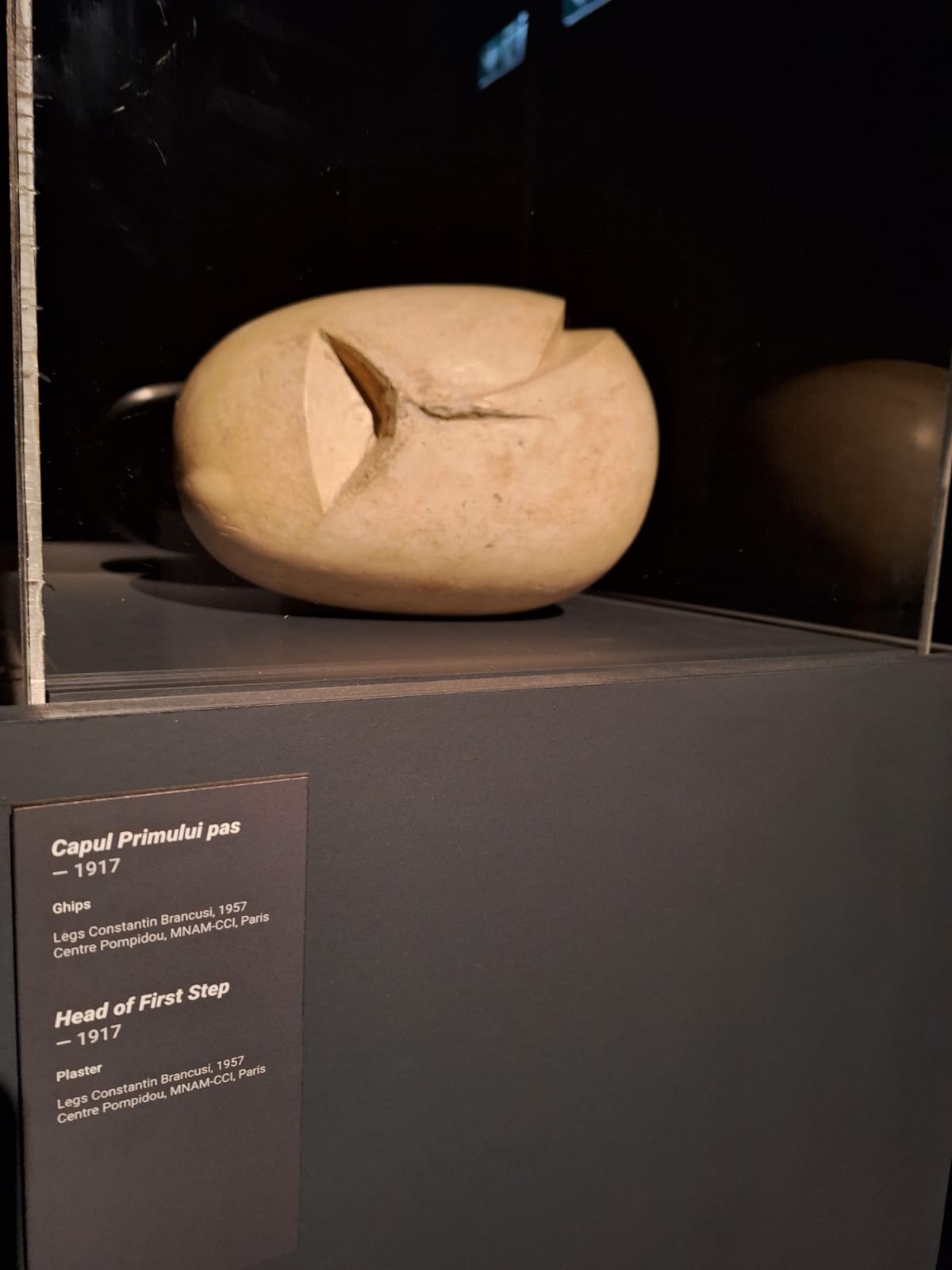 expoziția Brâncuși (3)