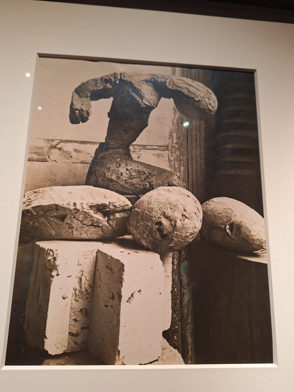 expoziția Brâncuși (7)