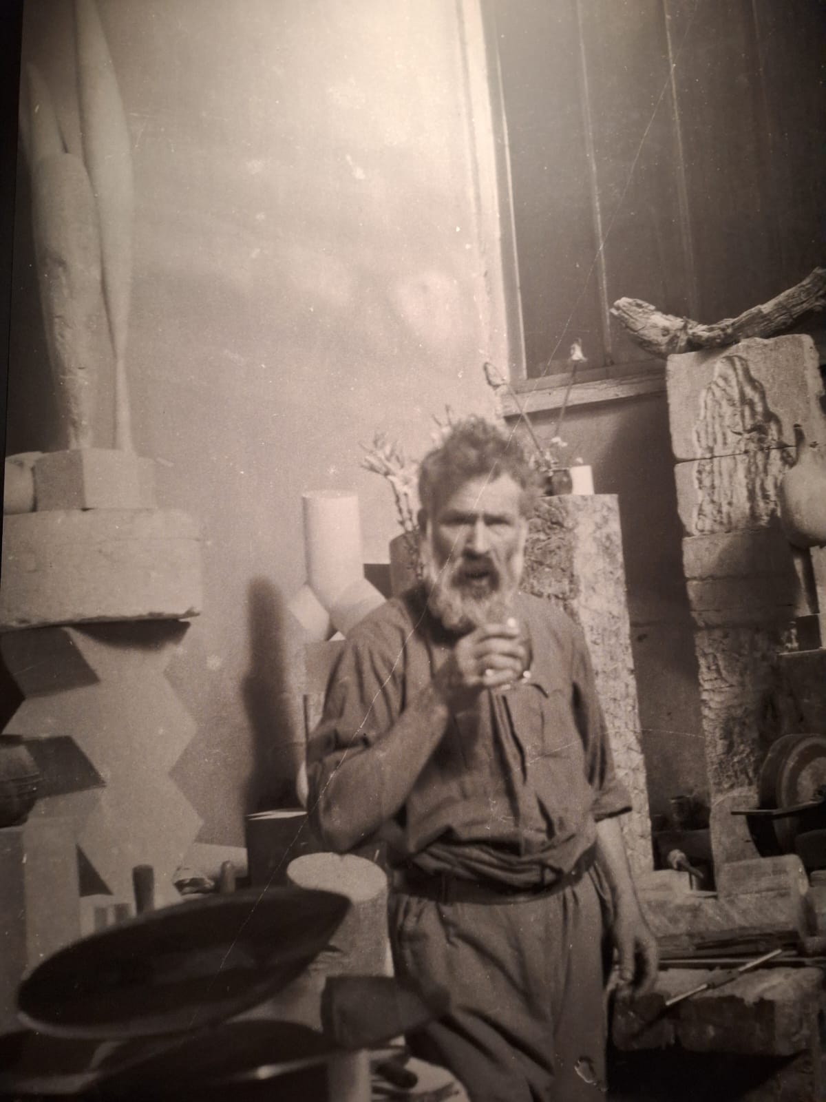 expoziția Brâncuși (10)