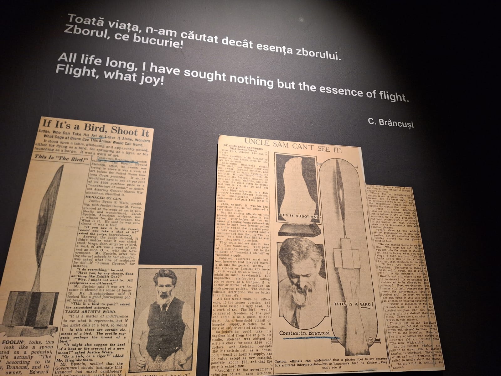 expoziția Brâncuși (11)