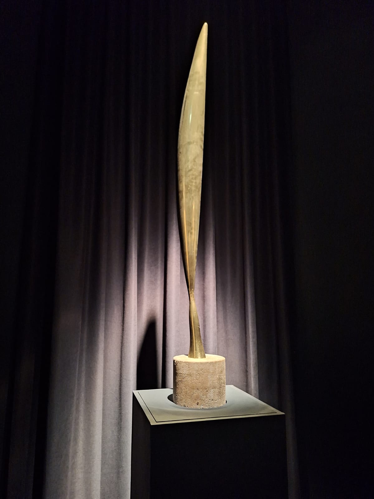 expoziția Brâncuși (12)