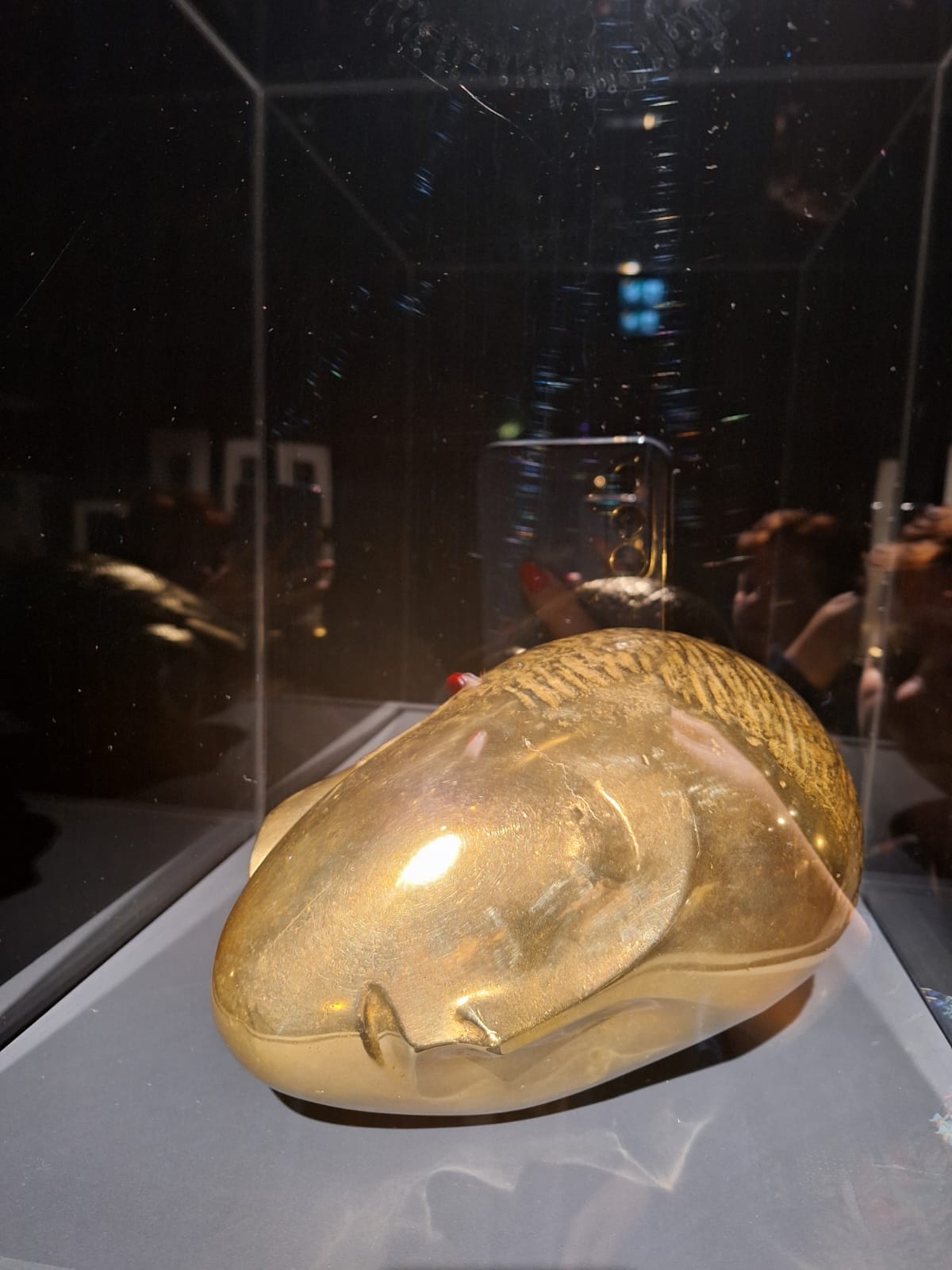 expoziția Brâncuși (13)