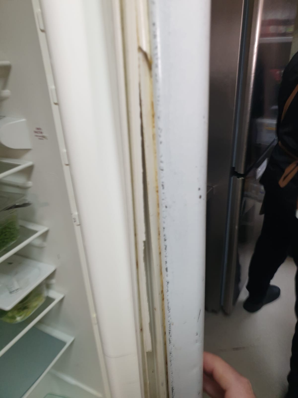 opc casa bunicii (7)