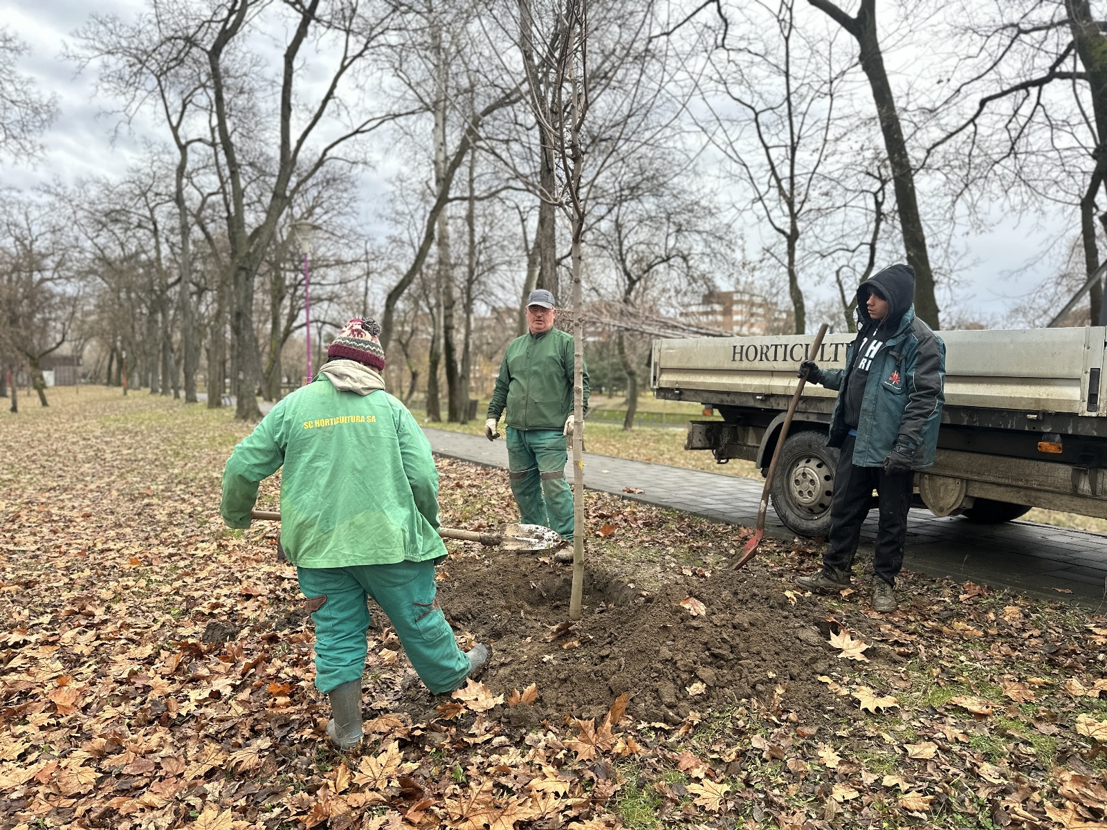 curățenie parcul copiilor