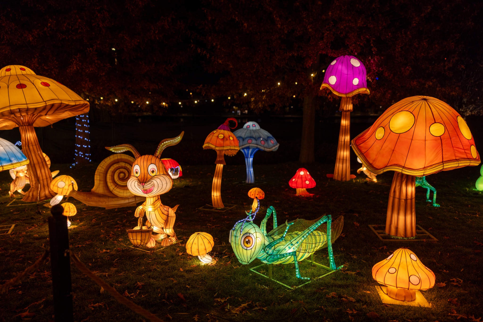 The Glowing Garden (1)