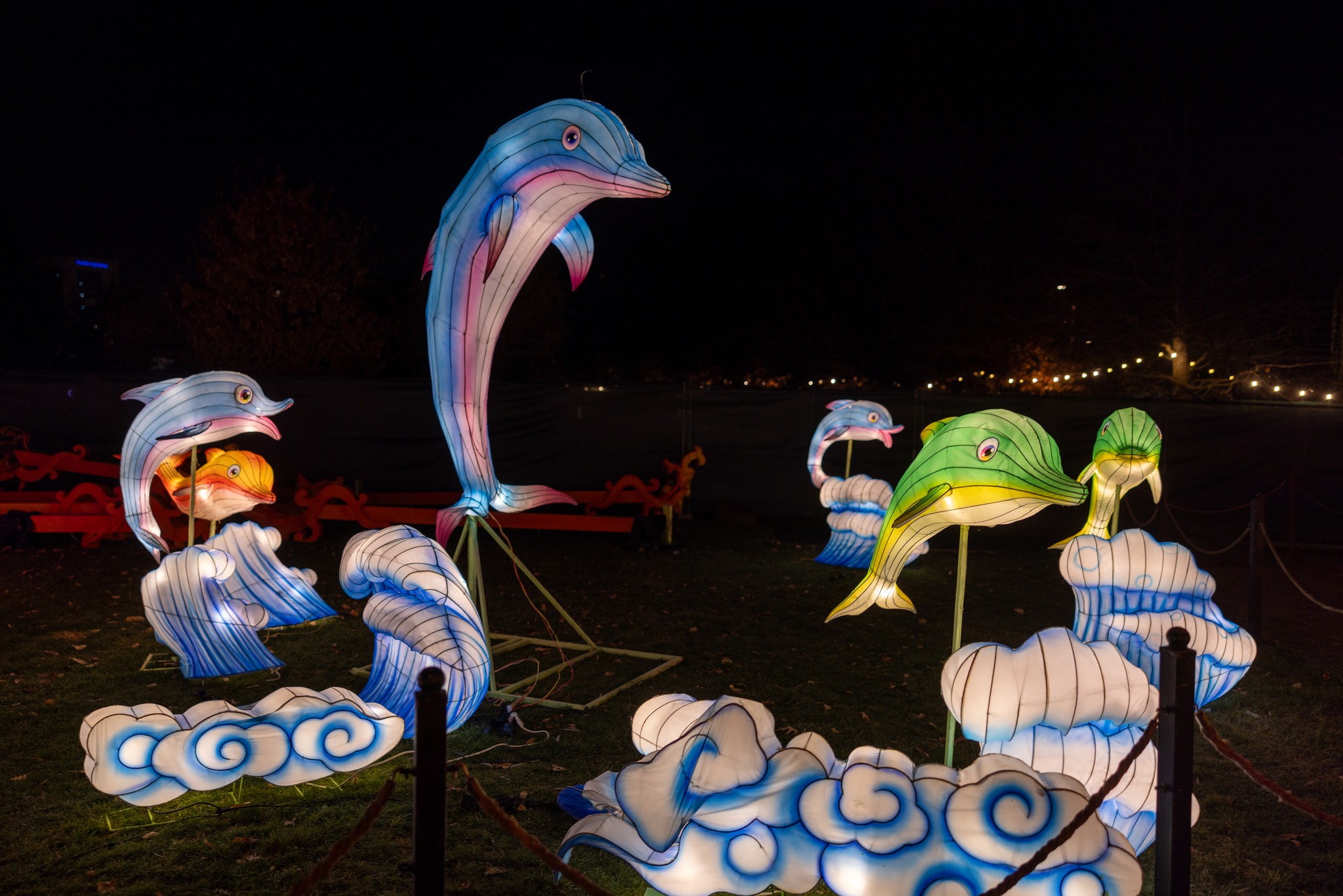 The Glowing Garden (2)