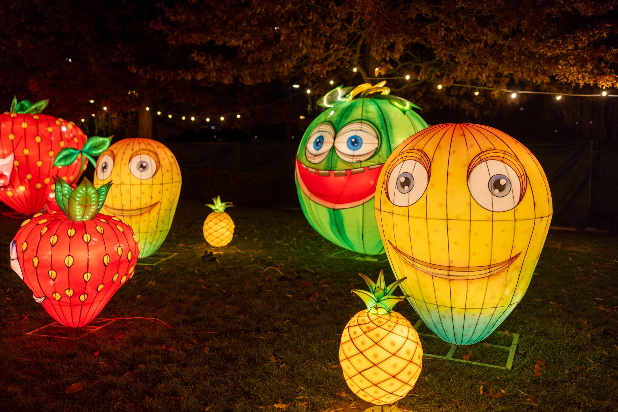 The Glowing Garden (3)