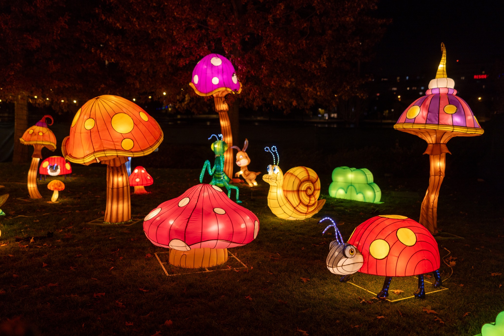 The Glowing Garden (4)