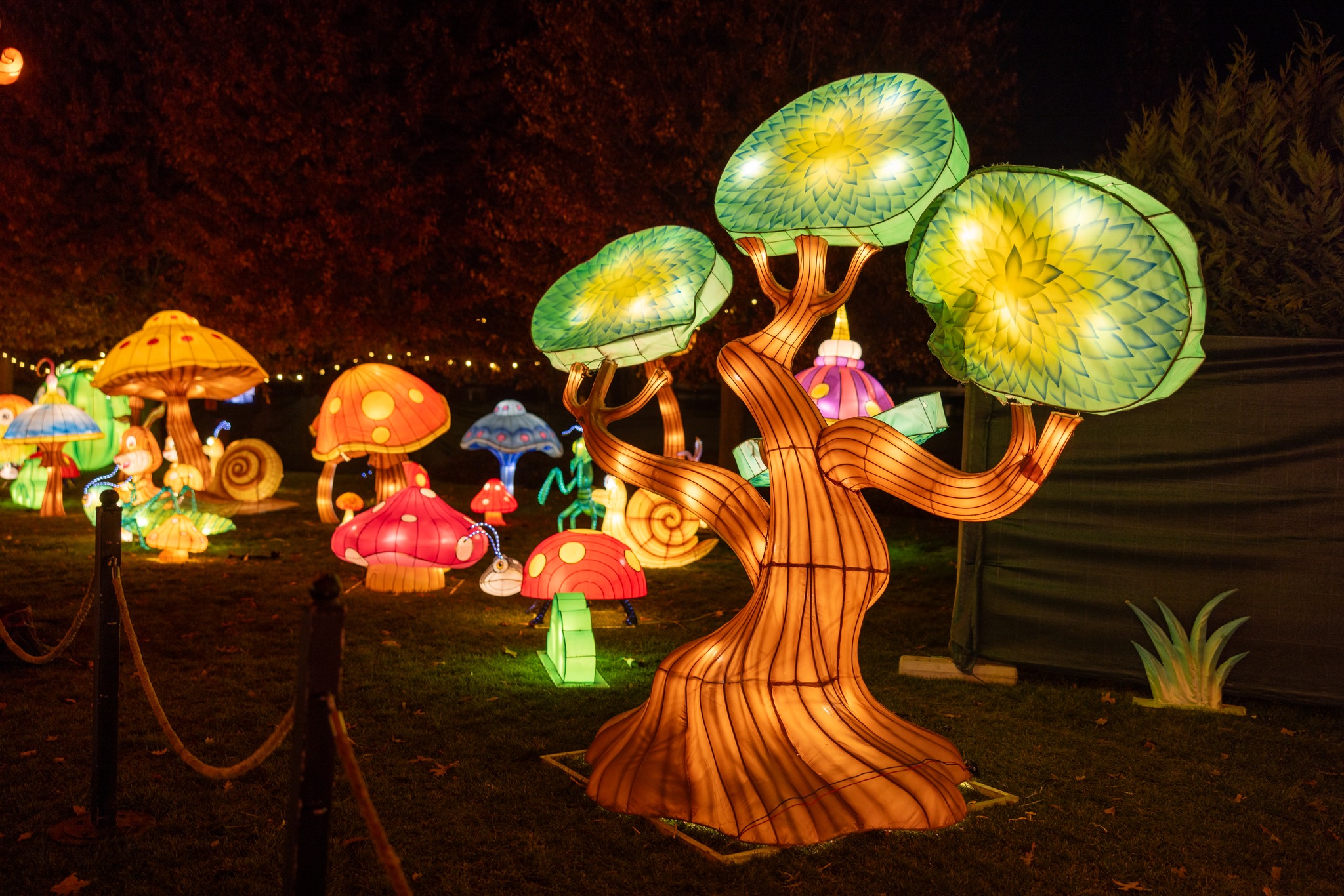 The Glowing Garden (7)