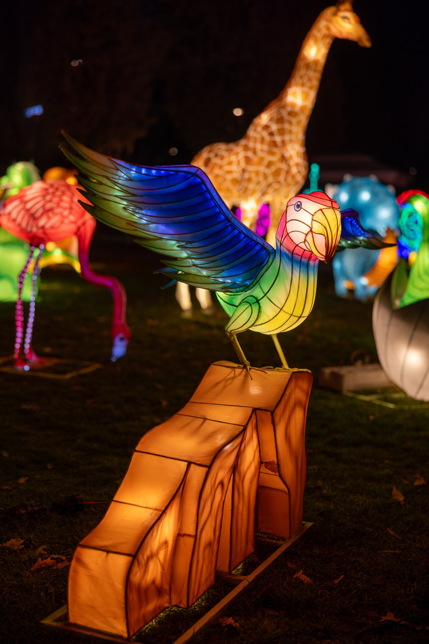 The Glowing Garden (10)