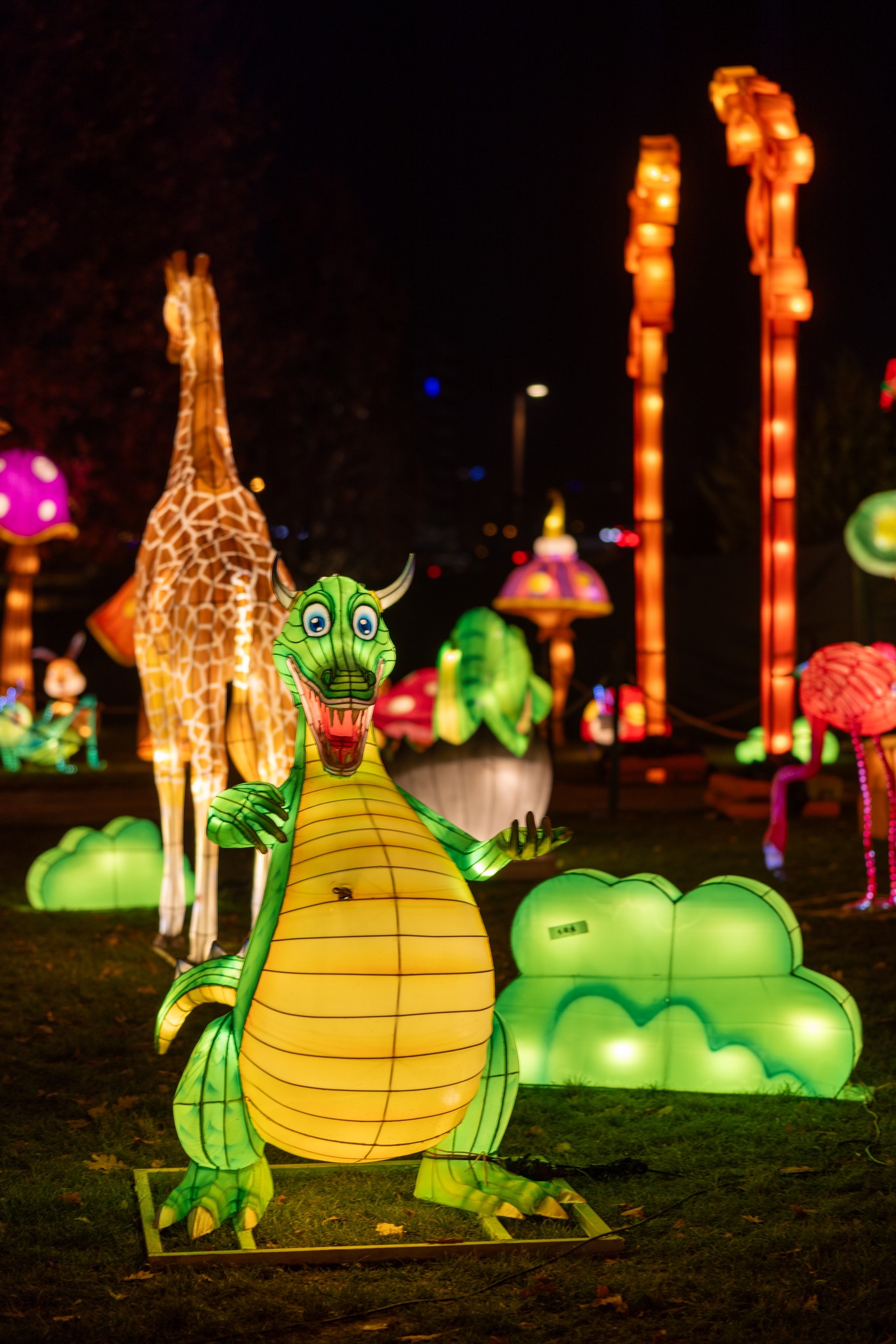 The Glowing Garden (9)