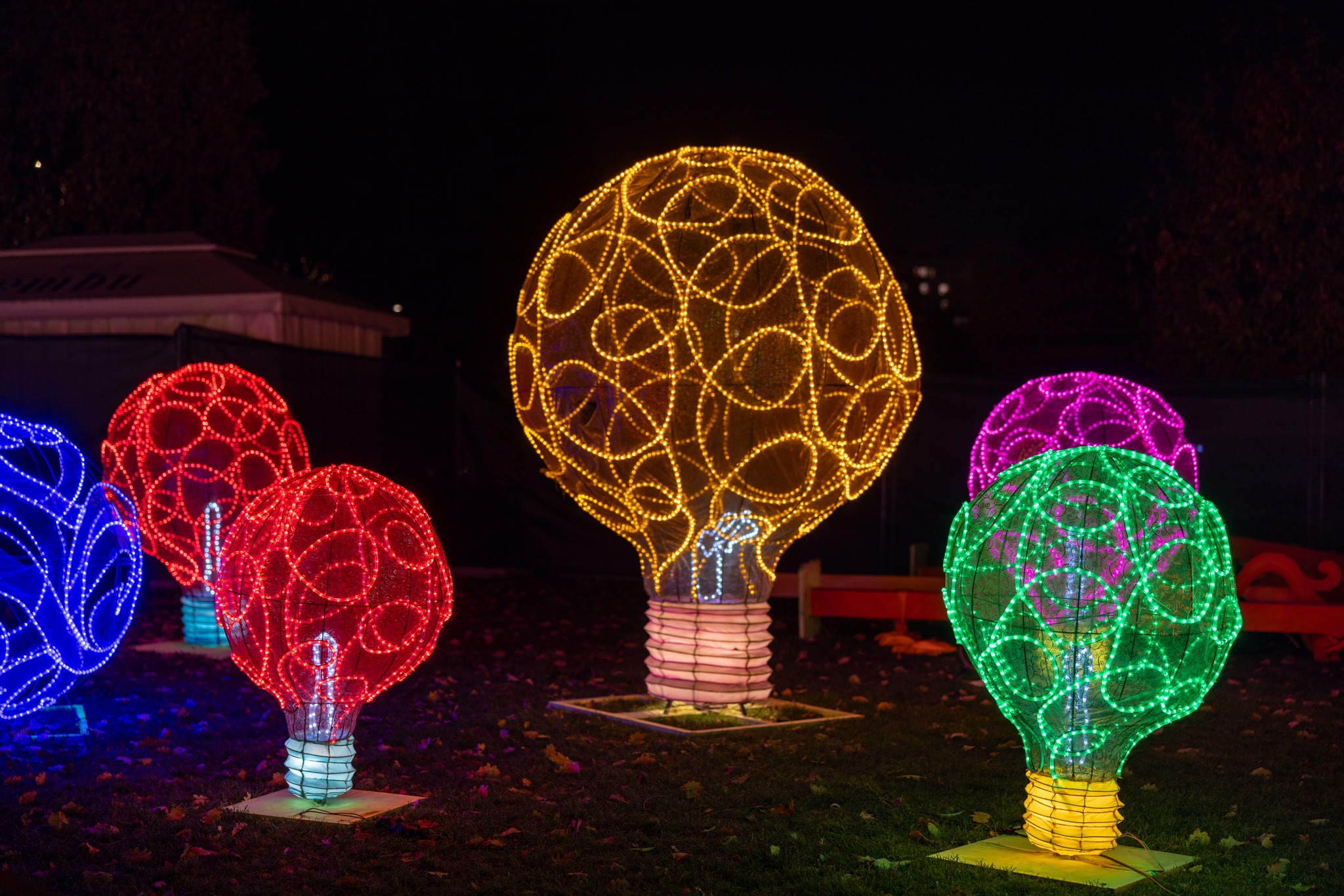 The Glowing Garden (11)