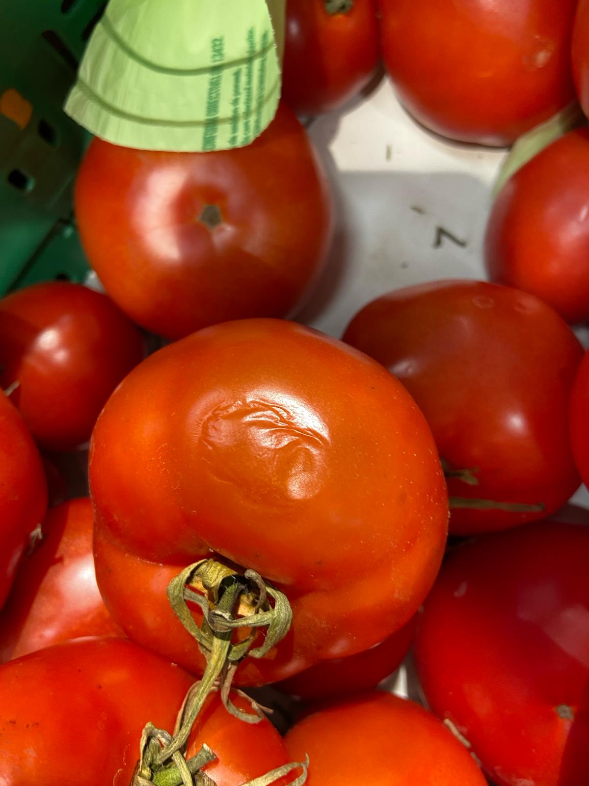 control opc mega image (3)