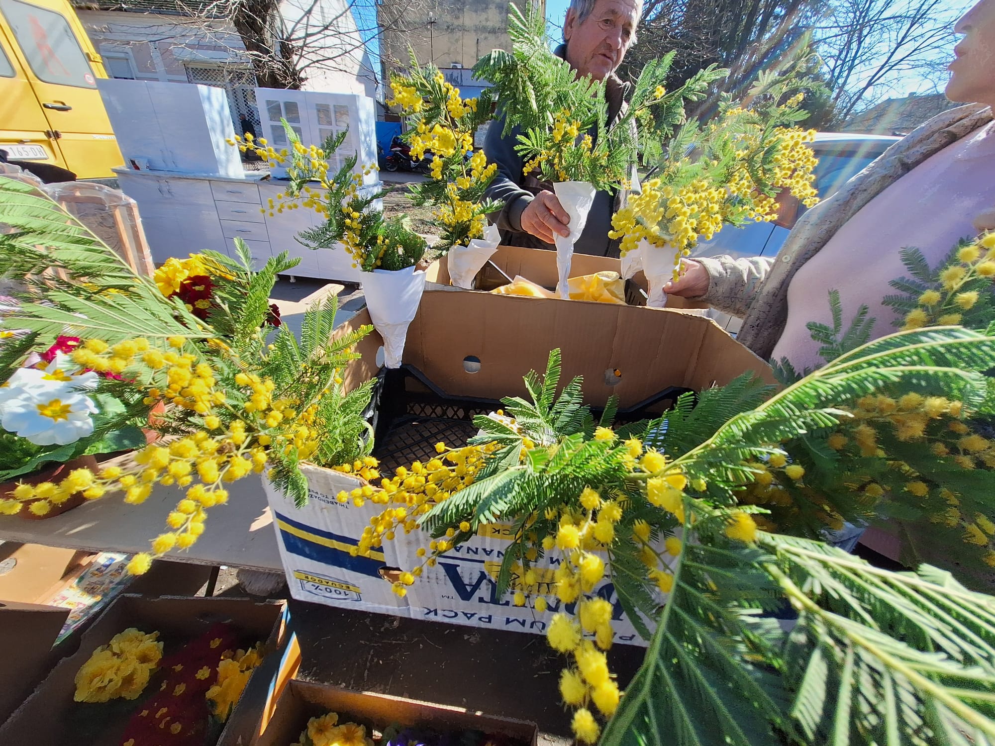 festivalul slaninii serbia 2024 (3)