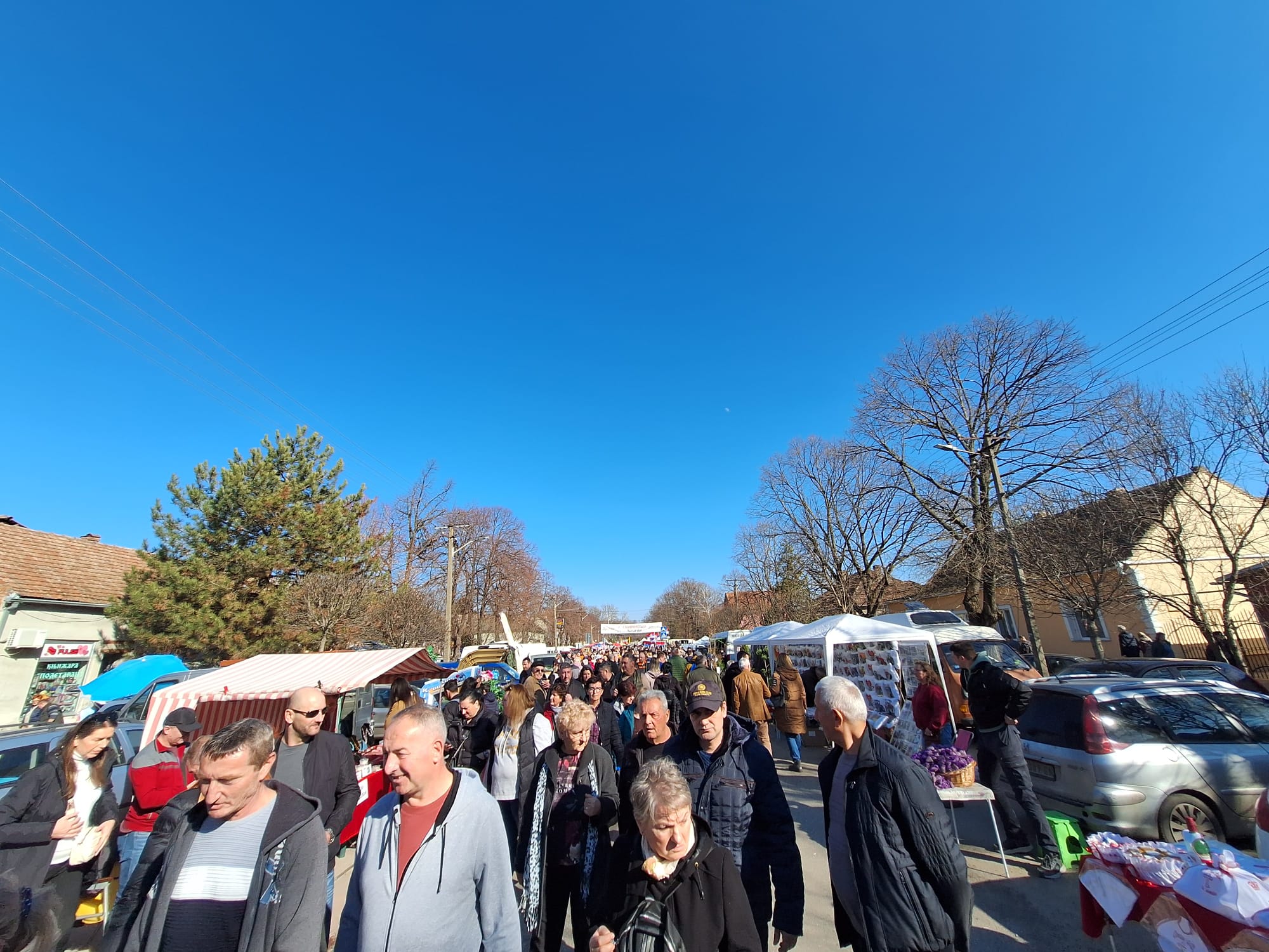 festivalul slaninii serbia 2024 (5)