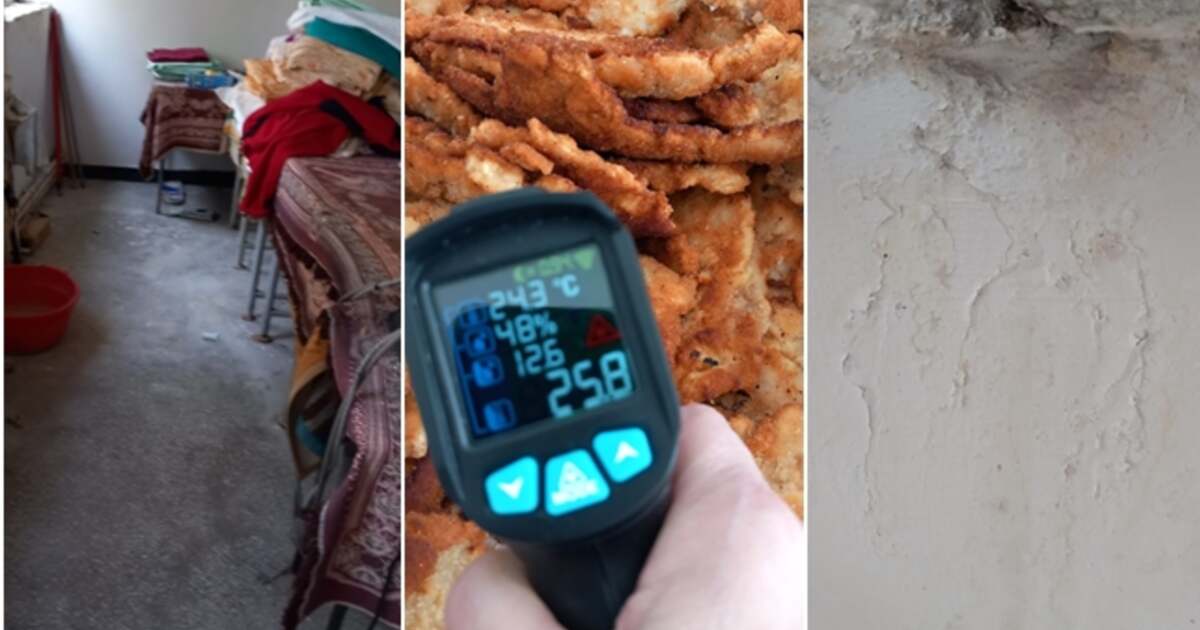 Șoareci, gândaci și mizerie într-o cantină de liceu din Timișoara. Cantina închisă temporar din cauza igienei precare. Șoareci, gândaci și mizerie într-o cantină de liceu din Timișoara. Cantina închisă temporar din cauza igienei precare.